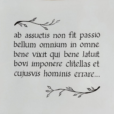 Dejana Urošević - AD120 - Pismo