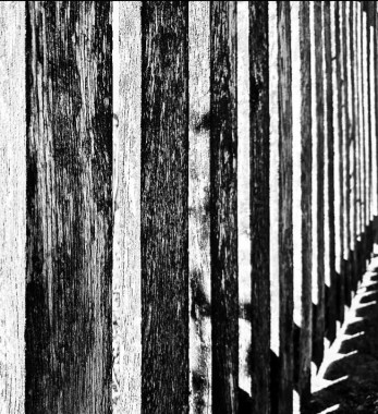 Ksenija Blagojević - AD250 - Digitalna fotografija(1)