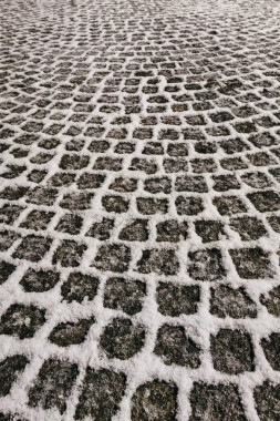 Nevena Artinović - AD250 - Digitalna fotografija