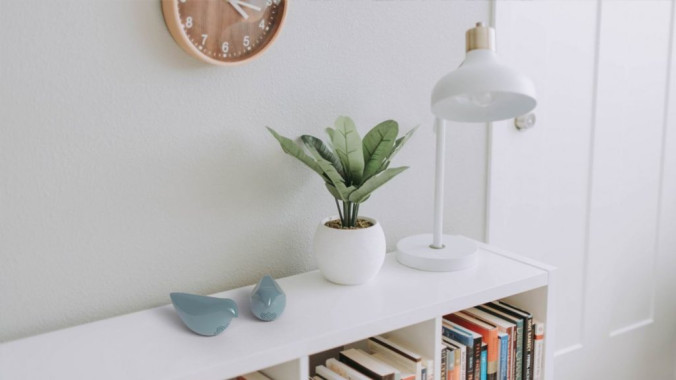 Nina Ignjatović - AD372 - Kompziting u grafičkom dizajnu