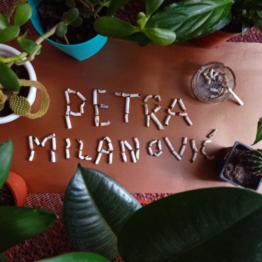 Petra Milanović - AD125 - Tipografija