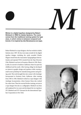 Anastasija Cvetković - AD125 - Tipografija 2