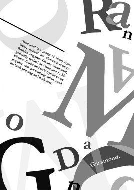 Iva Petković - AD125 - Tipografija