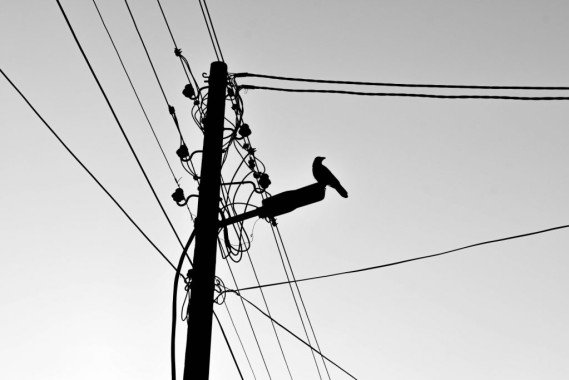 Marija Sotirović - AD250 - Digitalna fotografija