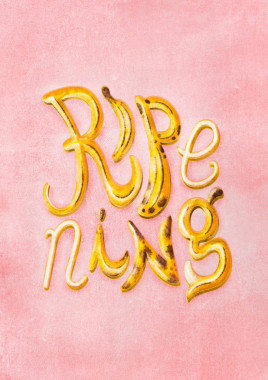 Marija Stanković - AD311 - Graficki dizajn 3