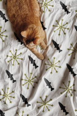 Marija Stanković - AD325 - Korporativni identitet 16