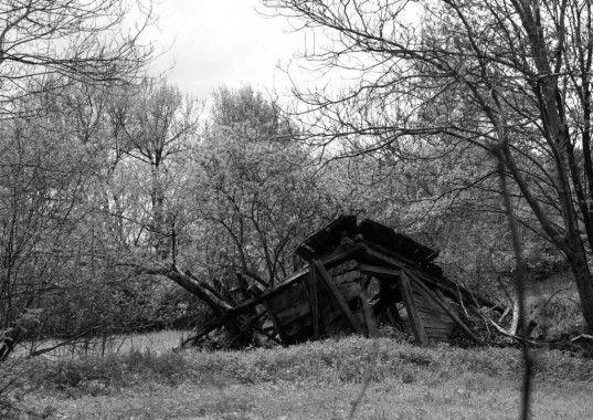 Neda Ignjatović - AD250 - Digitalna fotografija