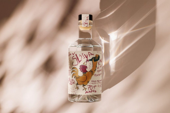 Sara Momčilović - AD311 - Graficki dizajn 2