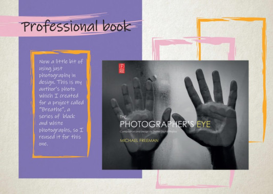 Vanja Mijalković - AD385 - Portfolio 8