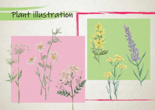 Vanja Mijalković - AD385 - Portfolio 9