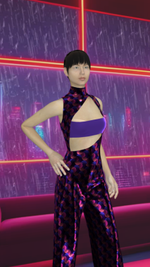 Darisa Kornja - AD371 - 3D modni dizajn 16