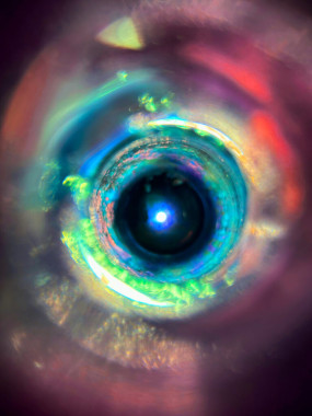 Dimitrije Krstić - AD250 - Digitalna fotografija 4