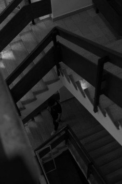 Djordjije Kontić - AD250 - Digitalna fotografija