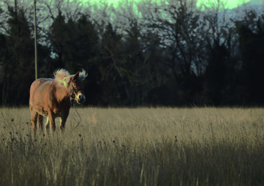 Katarina Radosavljević - AD250 - Digitalna fotografija
