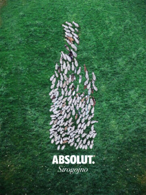 Marijana Krezovic - AD240 - Vizuelni identitet