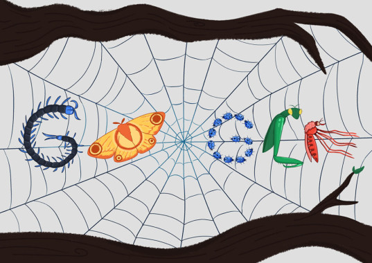 Mila Pavicevic - AD225 - Korporativni identitet