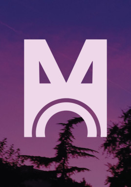 Mila Pavicevic - AD225 - Korporativni identitet 2