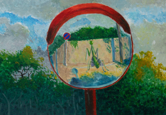 Milica Nikolic - AD206 - Likovna forma