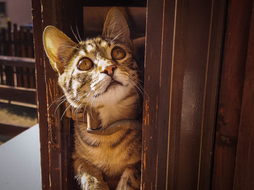 Mina Mirković - AD250 - Digitalna fotografija 3