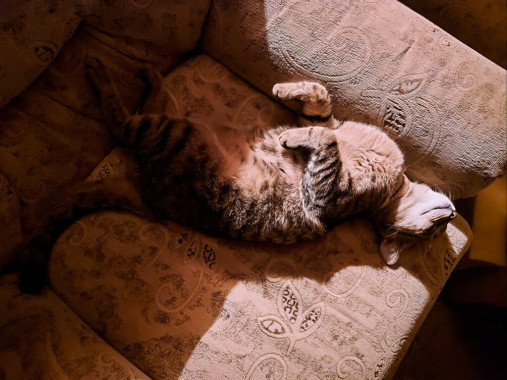 Mina Mirković - AD250 - Digitalna fotografija 4