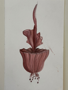 Nikolina Kevrešan - AD132 - Osnove savremenog odevanja 11