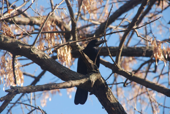 Sofija Đukić - AD250 - Digitalna fotografija 2