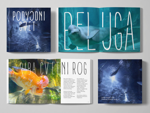 Sofija Trpeski - AD411 - Grafički dizajn