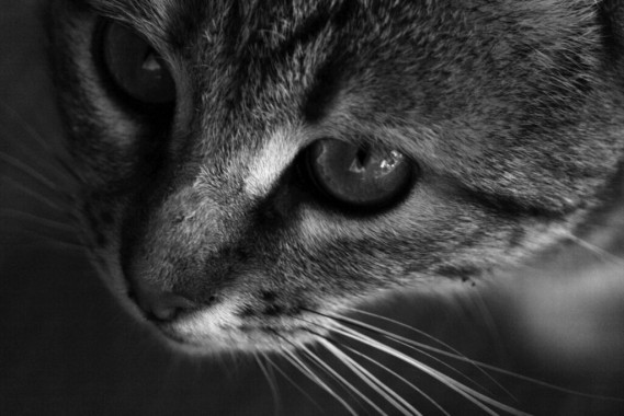 Tijana Mitrović - AD250 - Digitalna fotografija 3