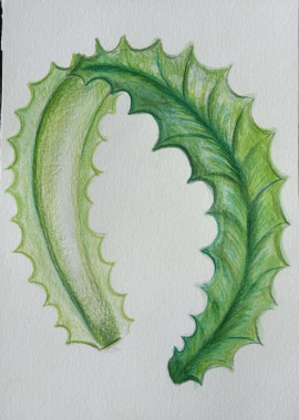 Tijana Vukićević - AD132 - Osnove savremenog odevanja 13