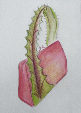 Tijana Vukićević - AD132 - Osnove savremenog odevanja 20