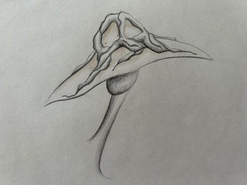 Una Borisavljević - AD132 - Osnove savremenog odevanja 26