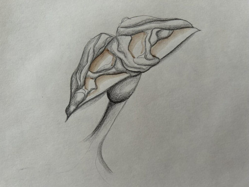 Una Borisavljević - AD132 - Osnove savremenog odevanja 27