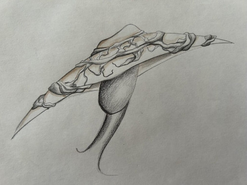 Una Borisavljević - AD132 - Osnove savremenog odevanja 30