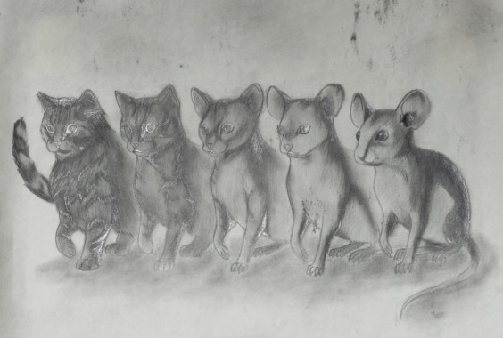 Teodora Adžić 6176 - AD102 - Crtanje