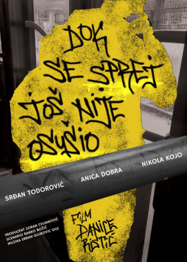 Danica Ristić - AD357 - Dizajn plakata 2